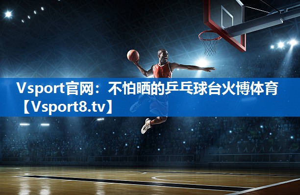 <strong>Vsport官网：不怕晒的乒乓球台火博体育</strong>