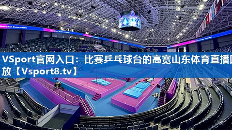 <strong>VSport官网入口：比赛乒乓球台的高宽山东体育直播回放</strong>