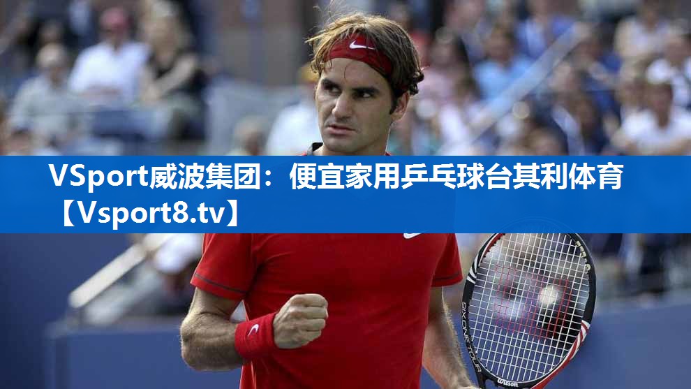 <strong>VSport威波集团：便宜家用乒乓球台其利体育</strong>