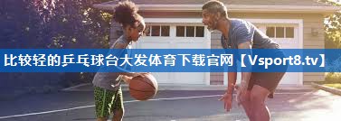 比较轻的乒乓球台大发体育下载官网