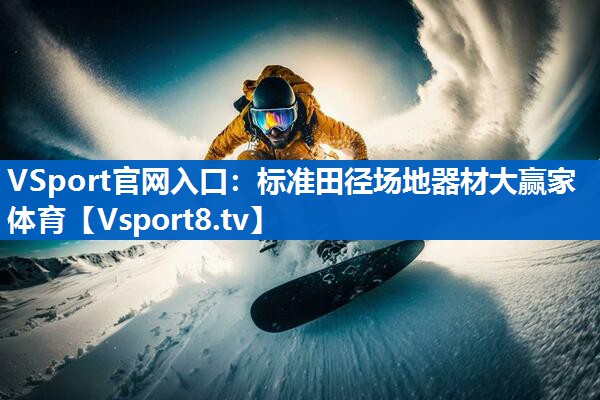 <strong>VSport官网入口：标准田径场地器材大赢家体育</strong>