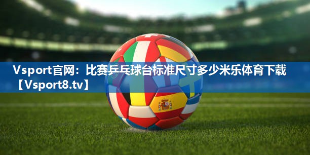 <strong>Vsport官网：比赛乒乓球台标准尺寸多少米乐体育下载</strong>