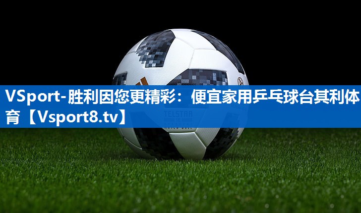 VSport-胜利因您更精彩：便宜家用乒乓球台其利体育