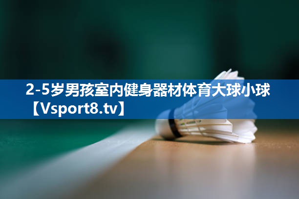<strong>2-5岁男孩室内健身器材体育大球小球</strong>