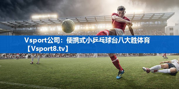 Vsport公司：便携式小乒乓球台八大胜体育