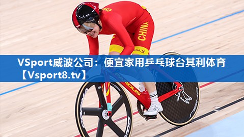 VSport威波公司：便宜家用乒乓球台其利体育