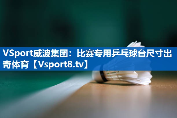 <strong>VSport威波集团：比赛专用乒乓球台尺寸出奇体育</strong>