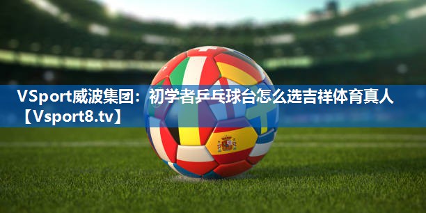VSport威波集团：初学者乒乓球台怎么选吉祥体育真人