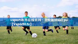 塑胶篮球场硅pu