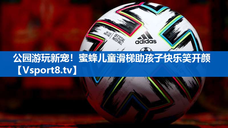 公园游玩新宠！蜜蜂儿童滑梯助孩子快乐笑开颜
