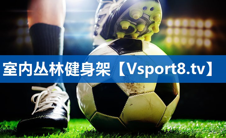 室内丛林健身架