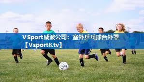室外乒乓球台外罩