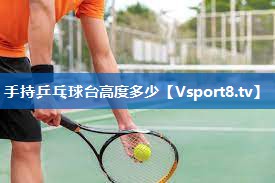 手持乒乓球台高度多少