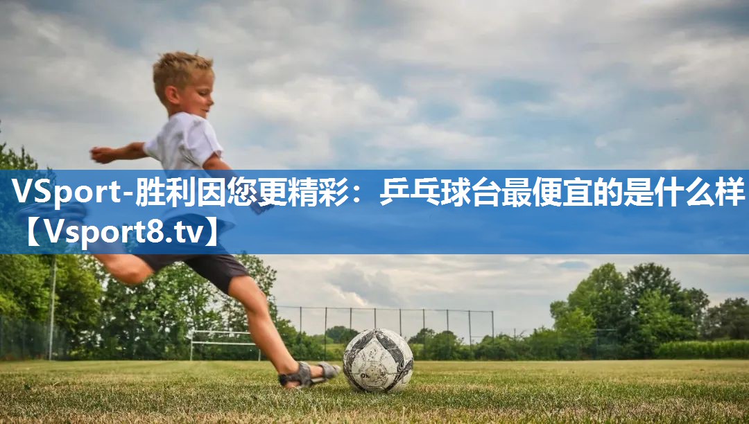 乒乓球台最便宜的是什么样