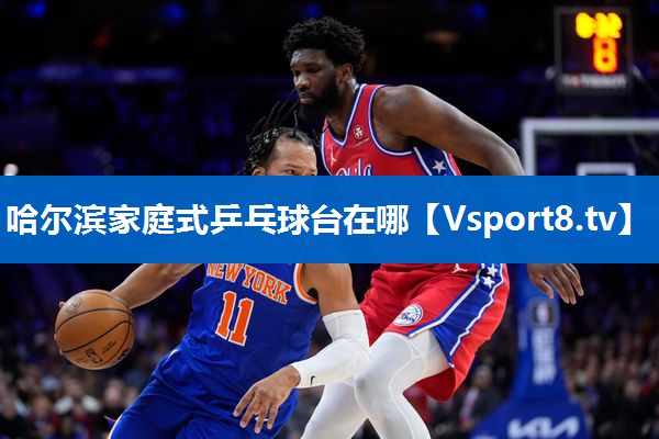 哈尔滨家庭式乒乓球台在哪